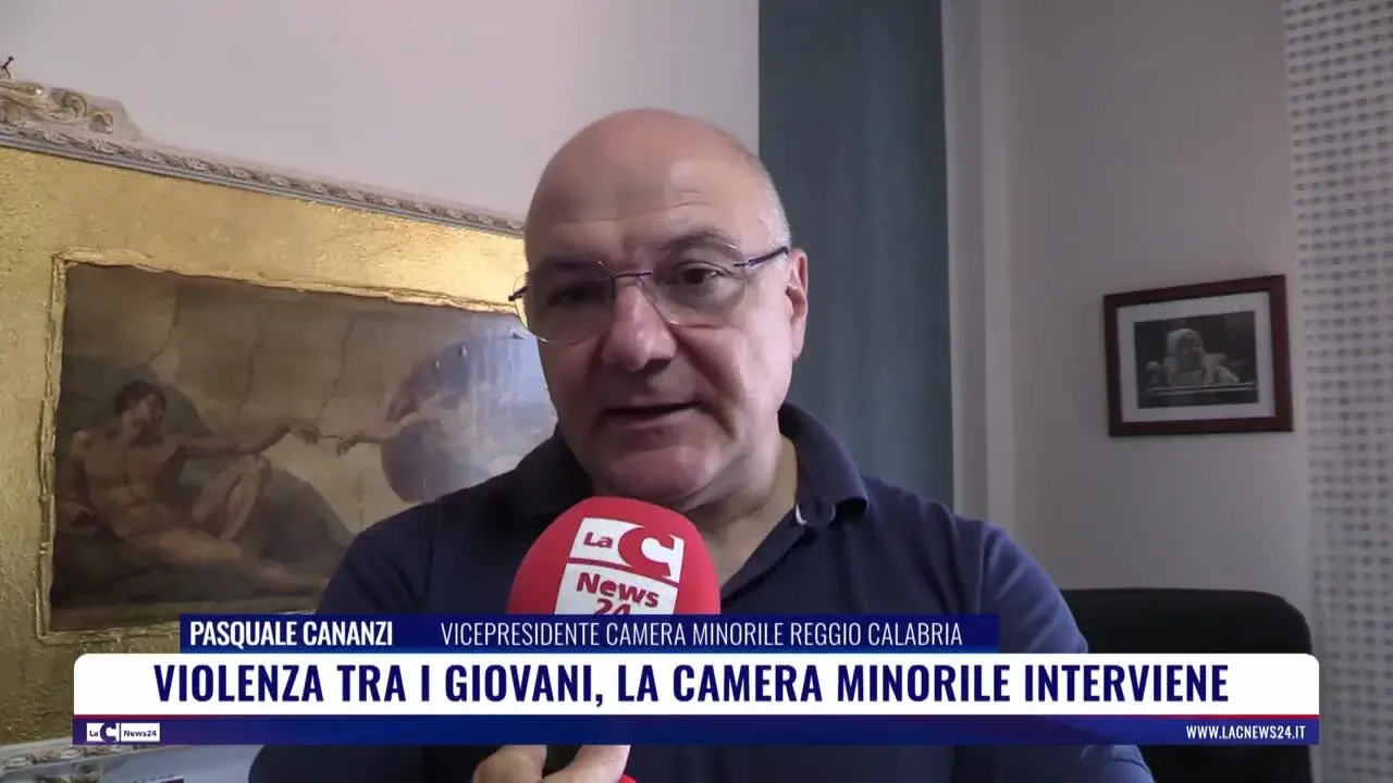 Violenza tra i giovani la camera minorile interviene