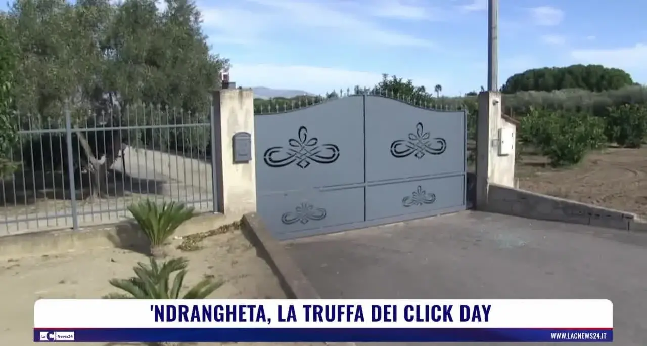 'Ndrangheta, la truffa dei click day