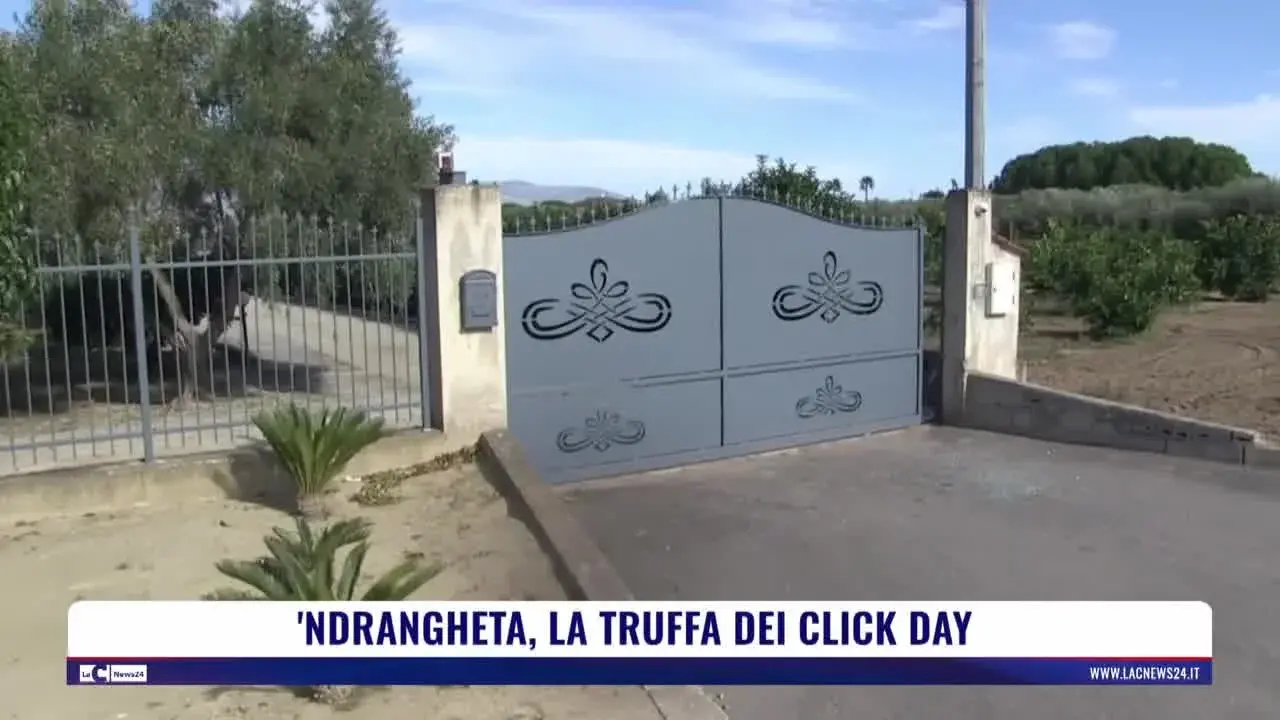 'Ndrangheta, la truffa dei click day