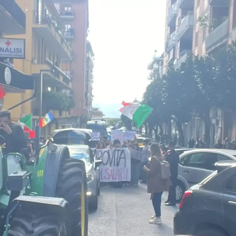 A Lamezia Terme studenti e agricoltori in corteo\u00A0contro il carovita\n