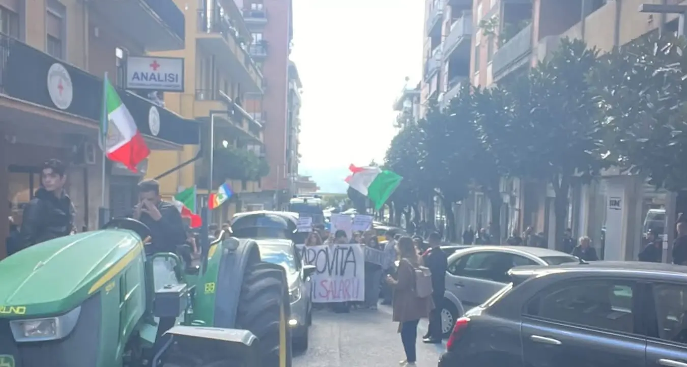 A Lamezia Terme studenti e agricoltori in corteo\u00A0contro il carovita\n