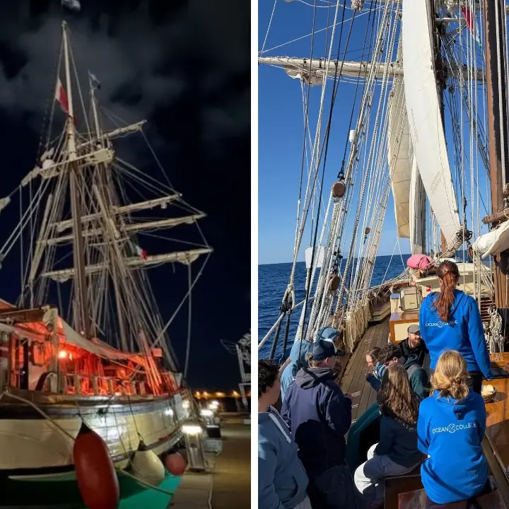 Da Vibo Marina ai Caraibi sul brigantino Florette: 26 studenti europei salpano per un'avventura di sette mesi tra scuola e mare\n