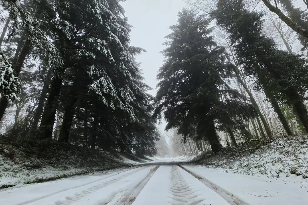In Calabria l’inverno bussa in anticipo: temperature in picchiata e prima neve su Sila e Pollino, ecco quando\n