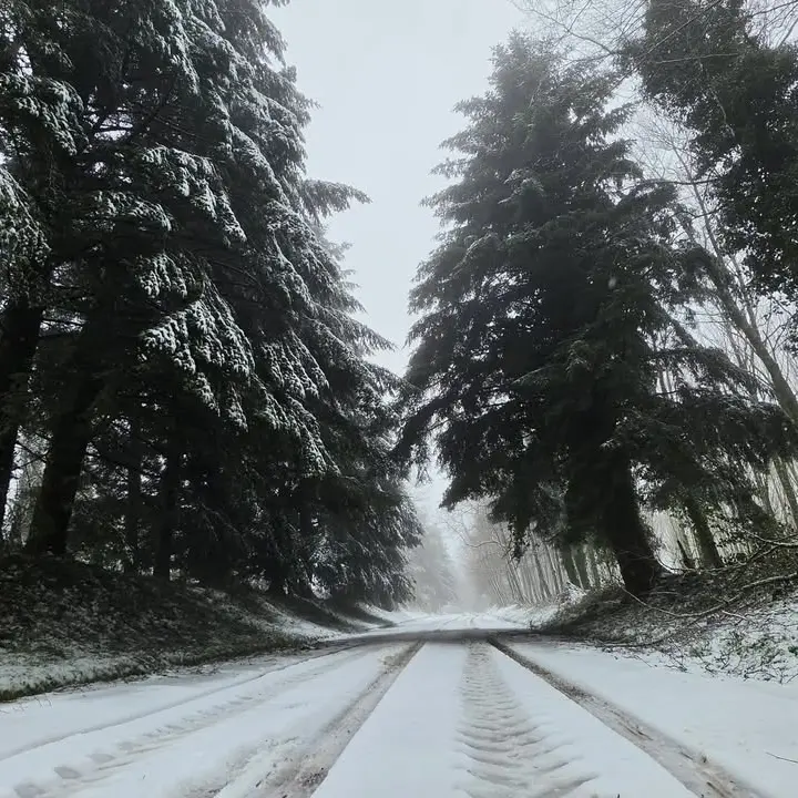 In Calabria l’inverno bussa in anticipo: temperature in picchiata e prima neve su Sila e Pollino, ecco quando\n
