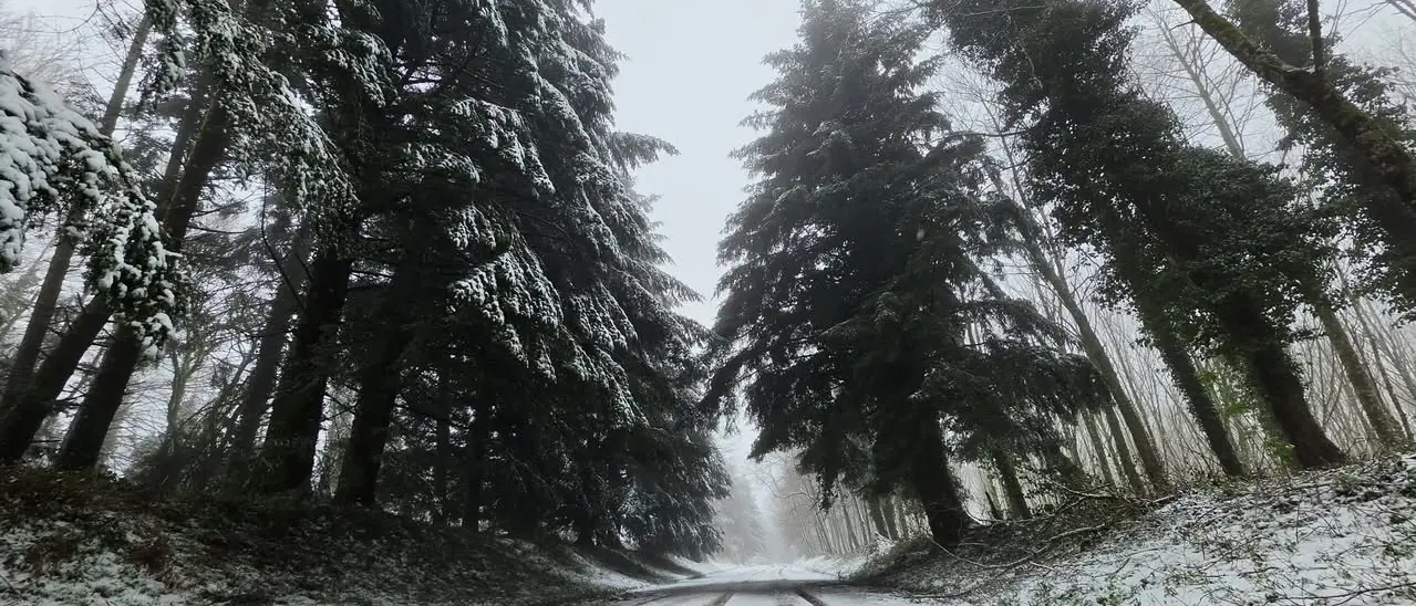 In Calabria l’inverno bussa in anticipo: temperature in picchiata e prima neve su Sila e Pollino, ecco quando\n