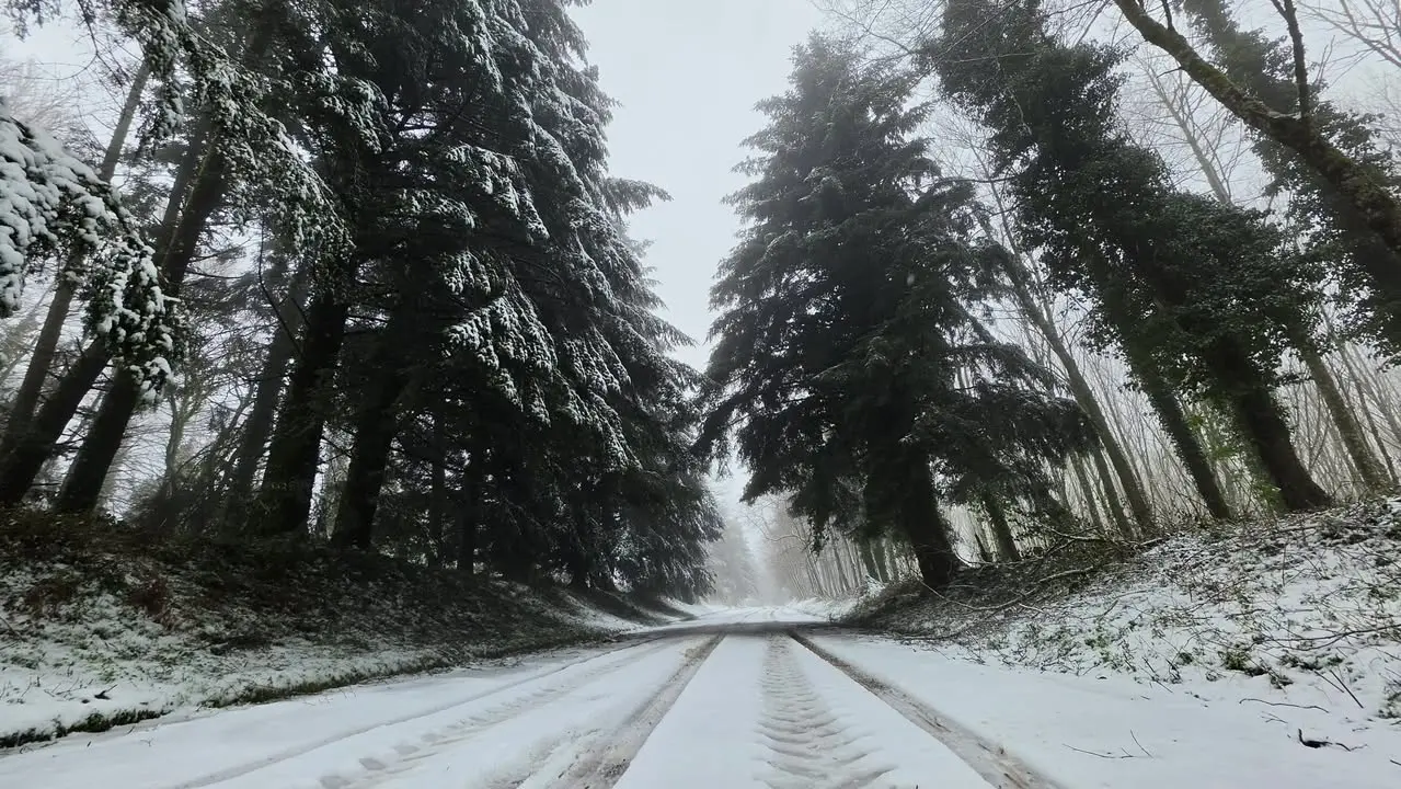 Meteo Cosenza, l’inverno sta arrivando: crollo termico e prima neve su Sila e Pollino.\u00A0Ecco quando\n