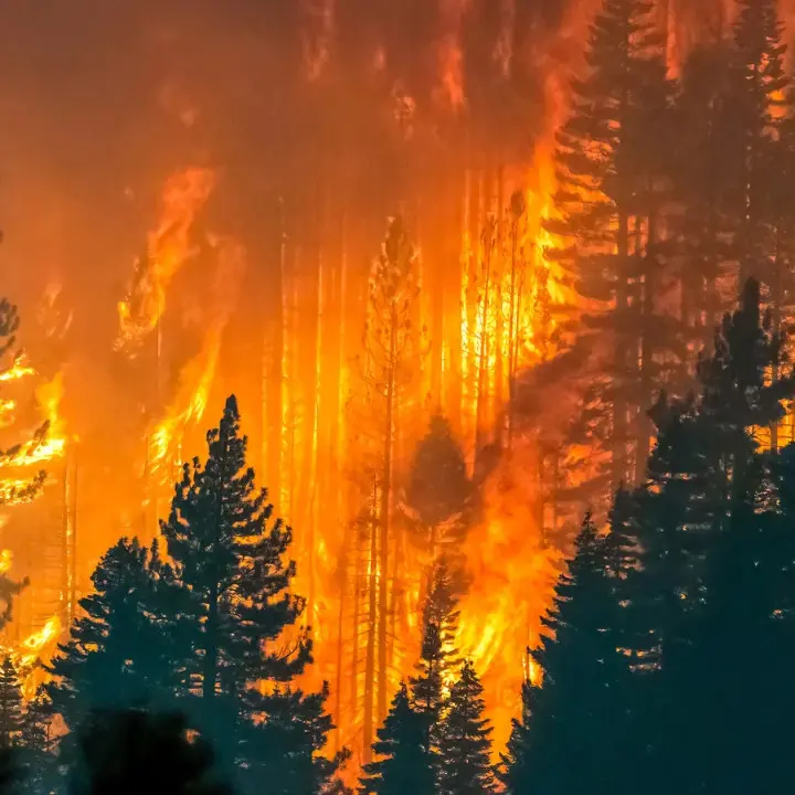 Calabria tra le regioni più colpite dagli incendi in Italia: il report\u00A0di Legambiente lancia l'allarme sulle foreste\n