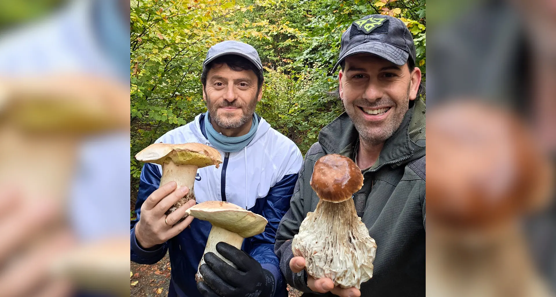 Straordinaria scoperta nel Pollino: il bosco regala un porcino da ben 655 grammi\n