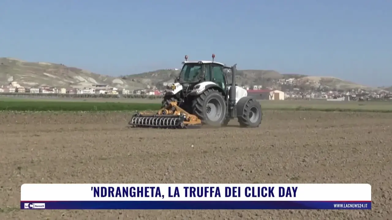 'Ndrangheta, la truffa dei click day