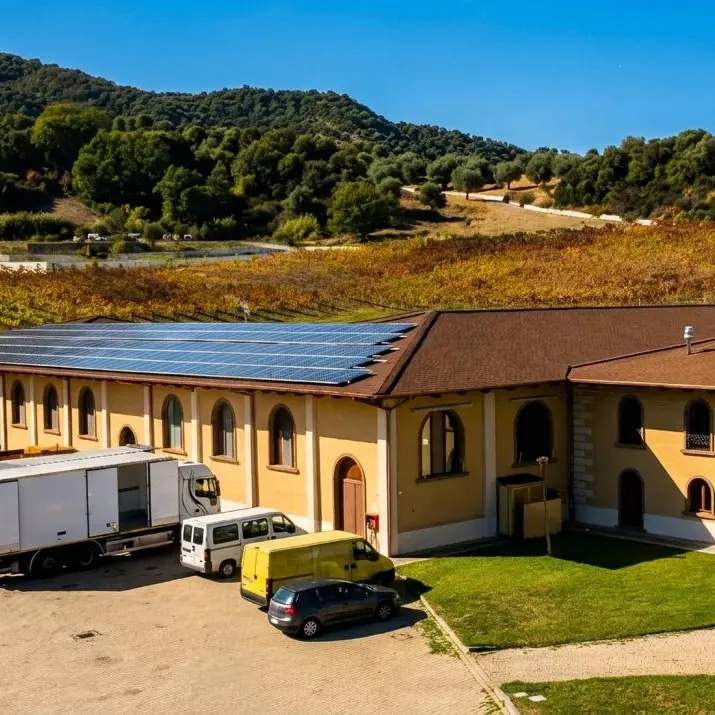 iGreco investe nelle energie rinnovabili: nuovo impianto fotovoltaico per ridurre 240 tonnellate di CO2\n
