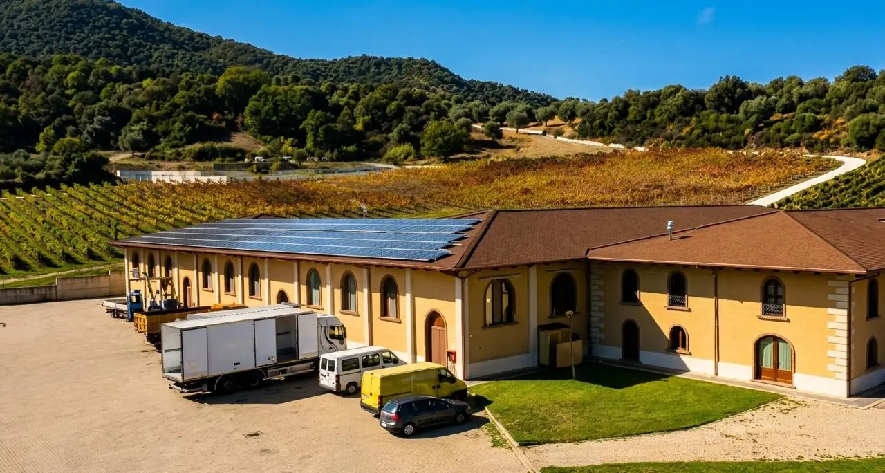 iGreco investe nelle energie rinnovabili: nuovo impianto fotovoltaico per ridurre 240 tonnellate di CO2\n