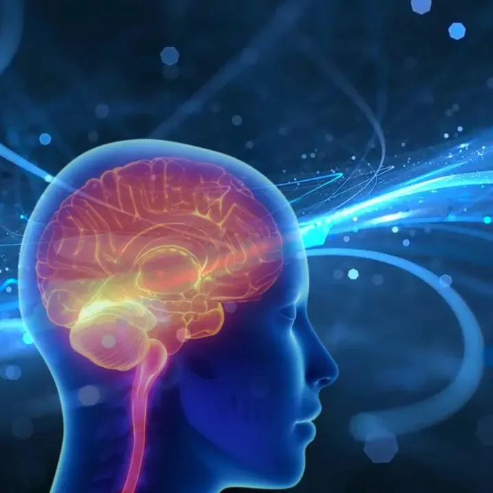 Chip che imitano il cervello, apprendono ma dimenticano anche (come i neuroni): anche l’Unical ha partecipato allo studio\n