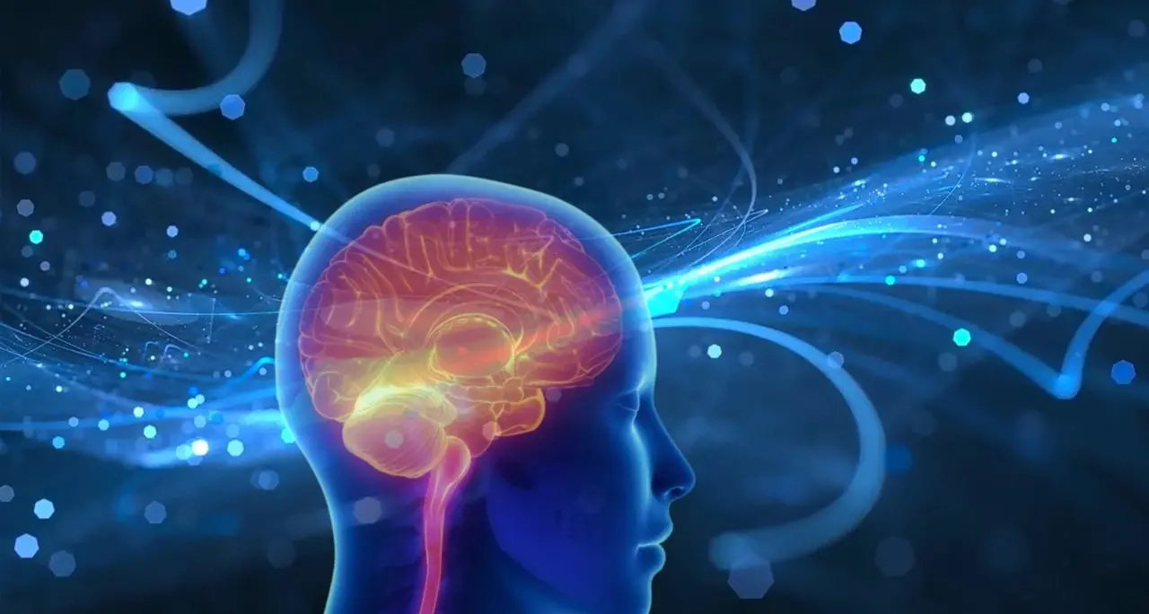 Chip che imitano il cervello, apprendono ma dimenticano anche (come i neuroni): anche l’Unical ha partecipato allo studio\n