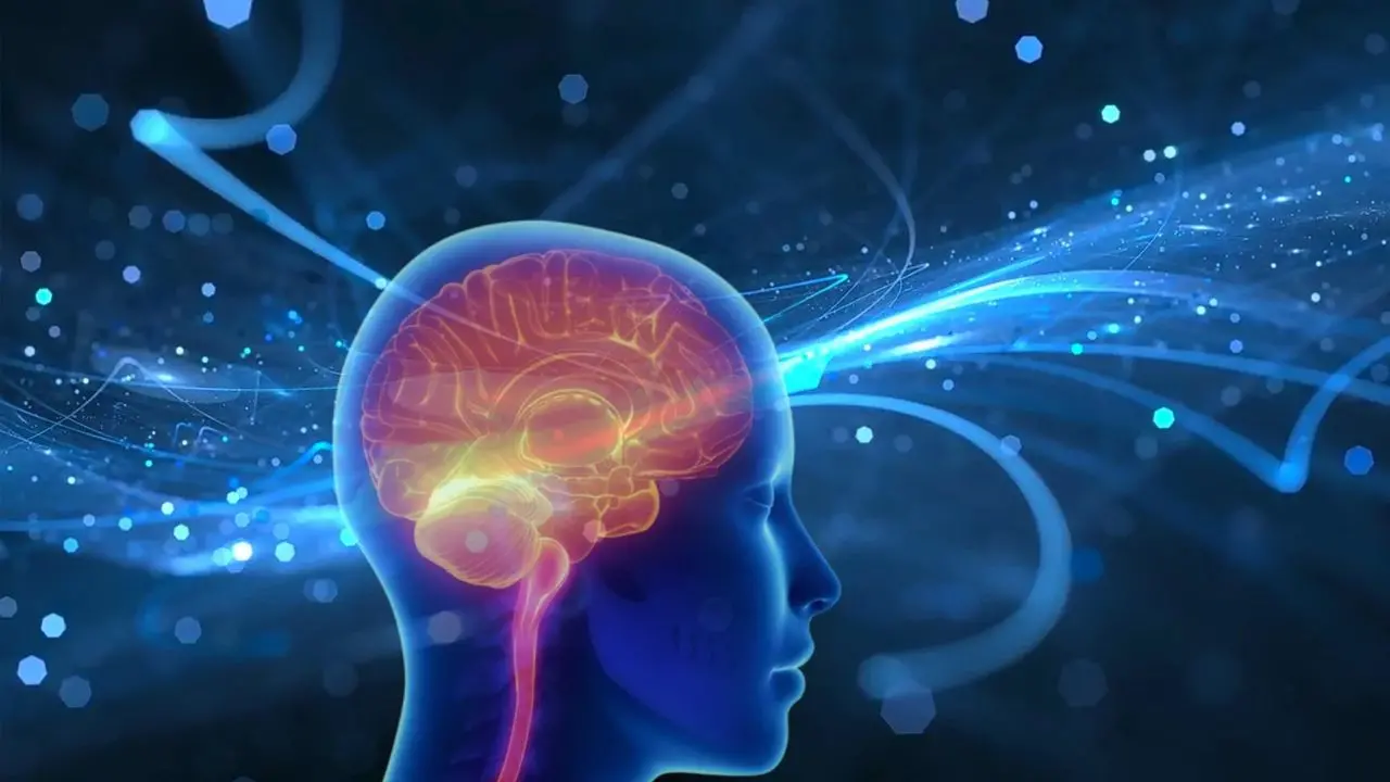 Chip che imitano il cervello, apprendono ma dimenticano anche (come i neuroni): anche l’Unical ha partecipato allo studio\n