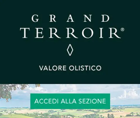 grand terroir teaser